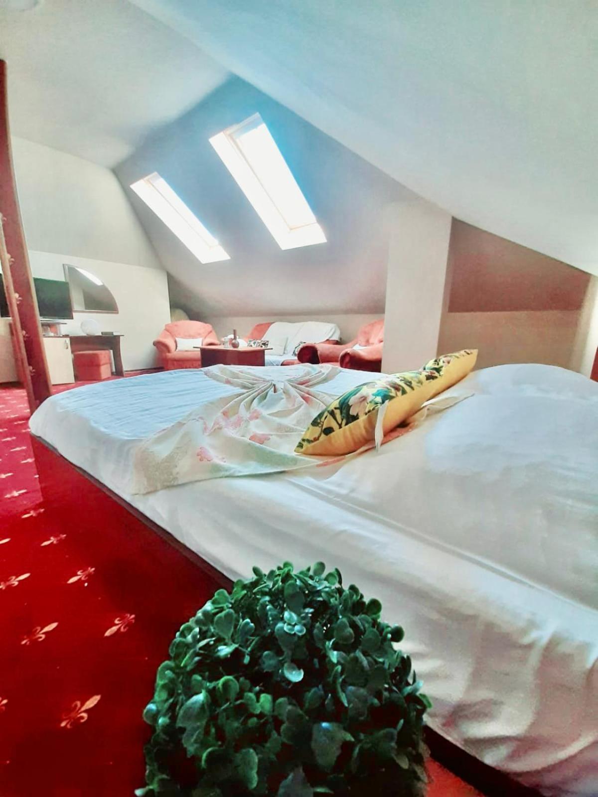 Vila Miluna Mamaia