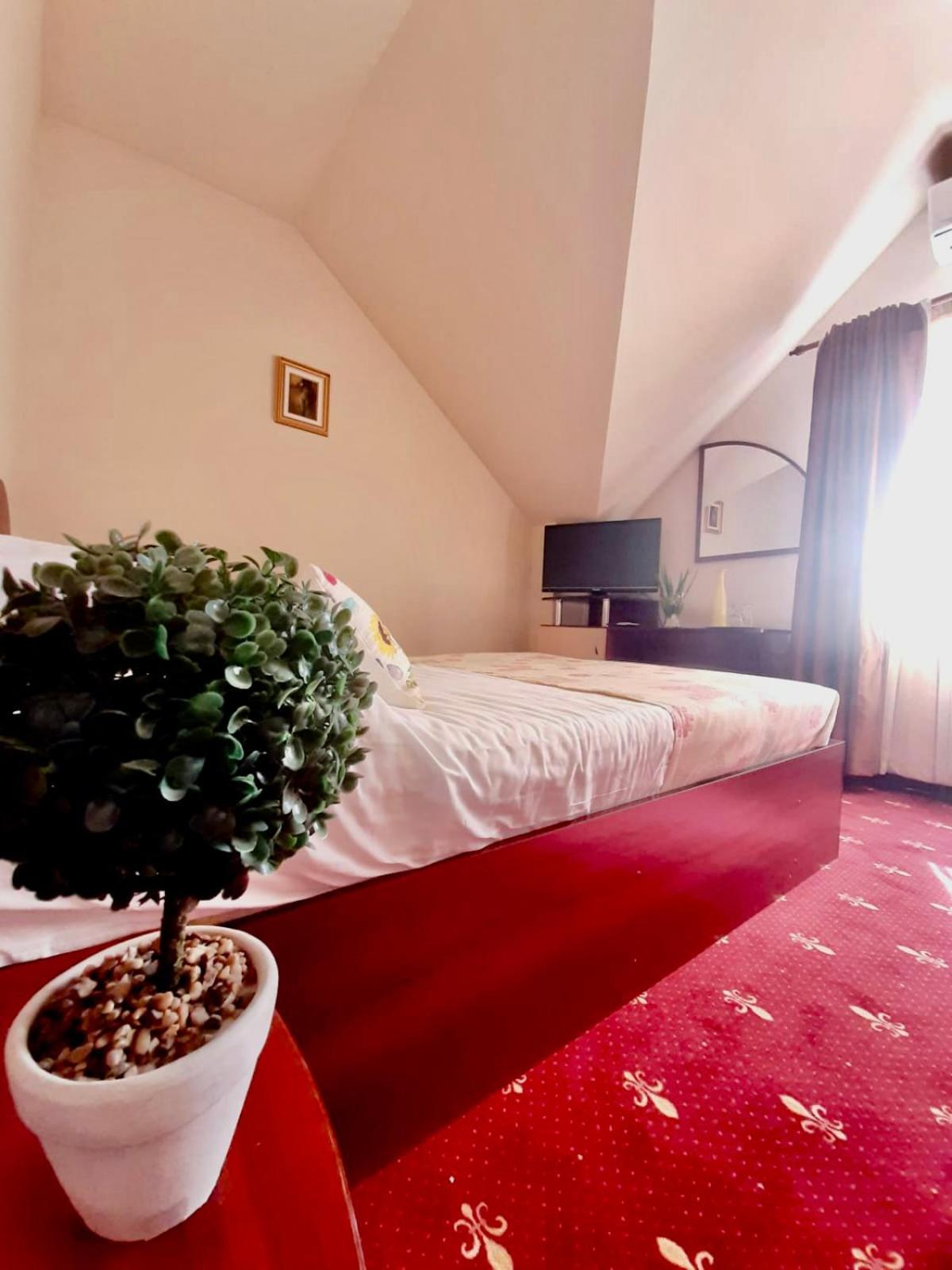 Vila Miluna Mamaia